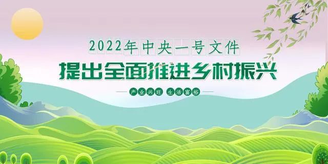 服务村落振兴，bifa必发集团物流“加把力”(图3)