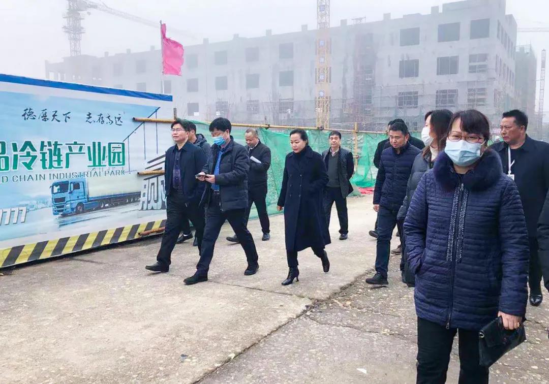 省市发改委辅导调查bifa必发集团恒美食品冷链产业园项目(图1)