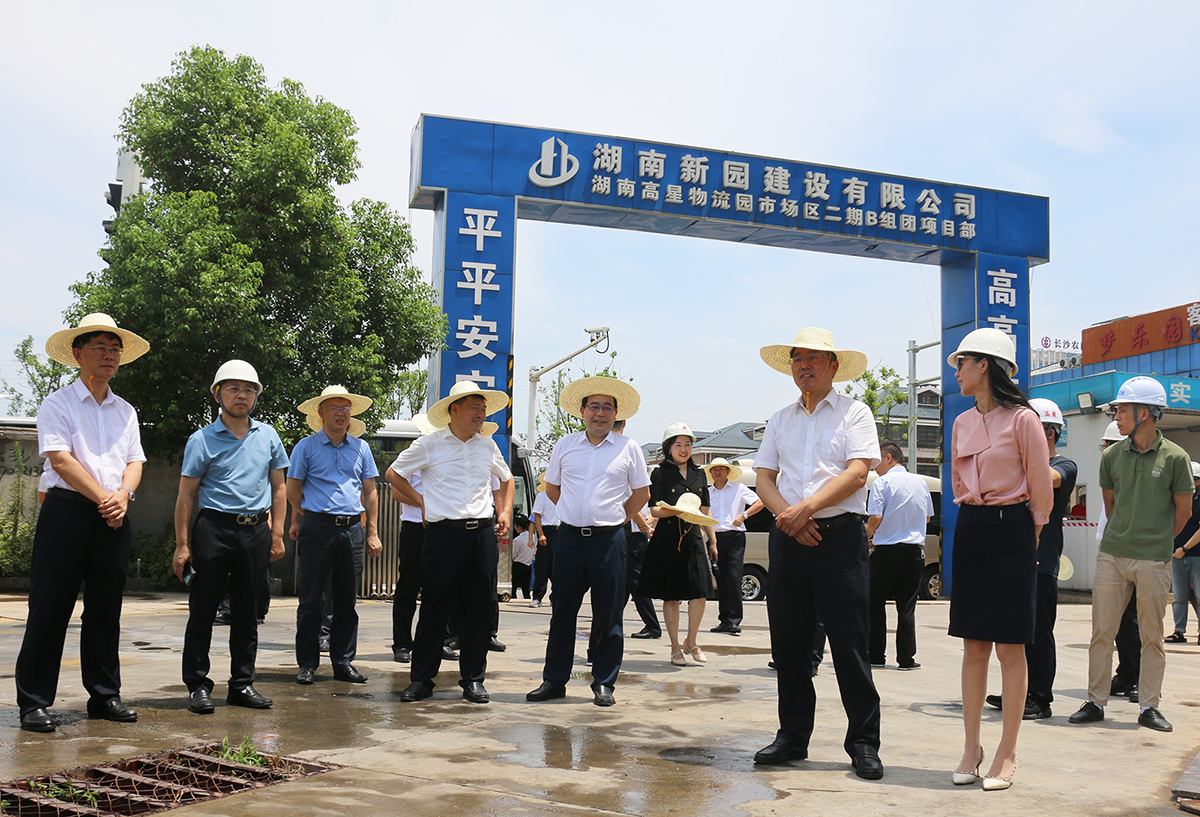 聚焦实体经济赋能 助力项目强势发展：望城经开区党工委书记周剀调查bifa必发集团湖南高星物流园(图2)