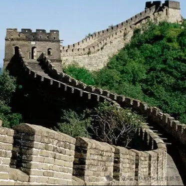 pg电子游戏试玩(中国)官方网站